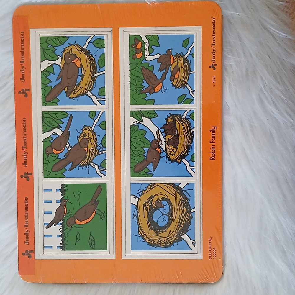 Robin Family Sequence Puzzle